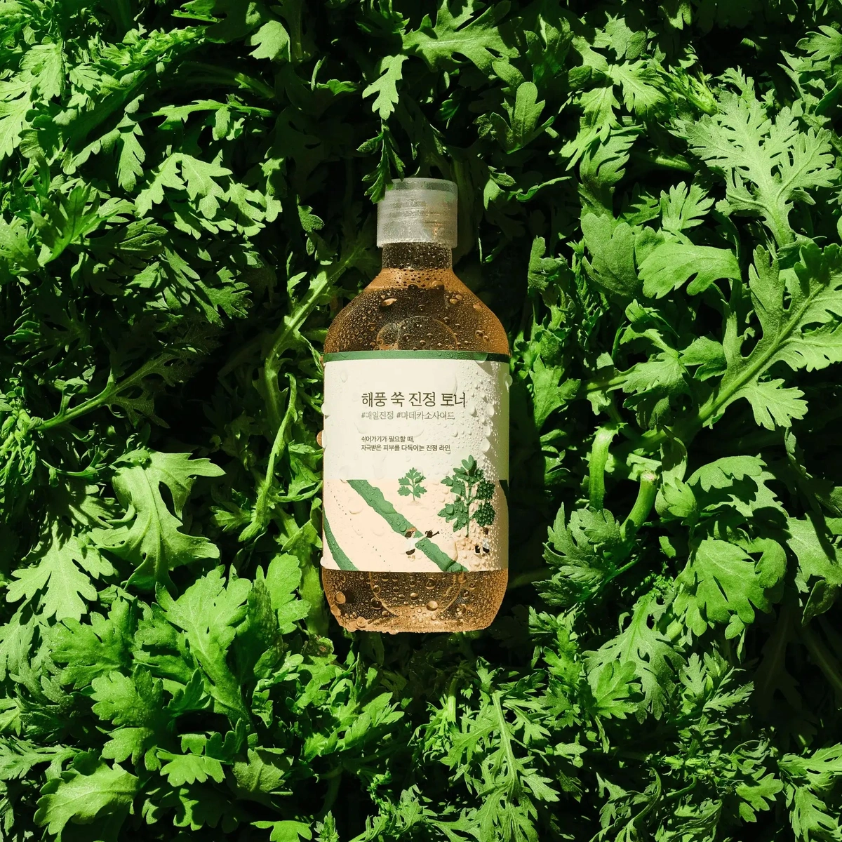 Mugwort Calming Toner by Round Lab